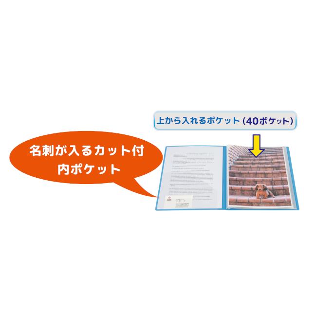 ビュートン スリム クリヤーブック A4 20ポケット 不透明表紙 ビュートン スリム クリヤーブック A4 20ポケット 不透明表紙