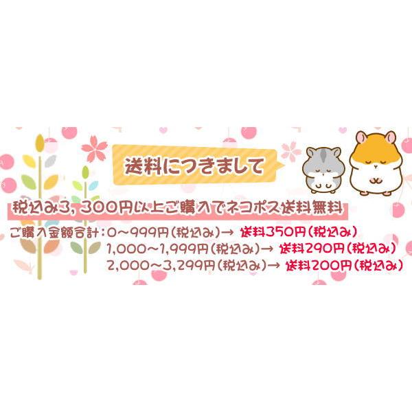 ササガワ 古川紙工 だがしミニレター プリン 文房具 文具 おしゃれ