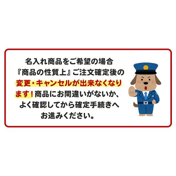 名入れ 多機能ペン 三菱鉛筆 ジェットストリーム プライム 2&1 0.7mm油性ボールペン+0.5mmシャープペン 文房具 文具 筆記具 Jetstream 母の日｜nijiirobungu｜13