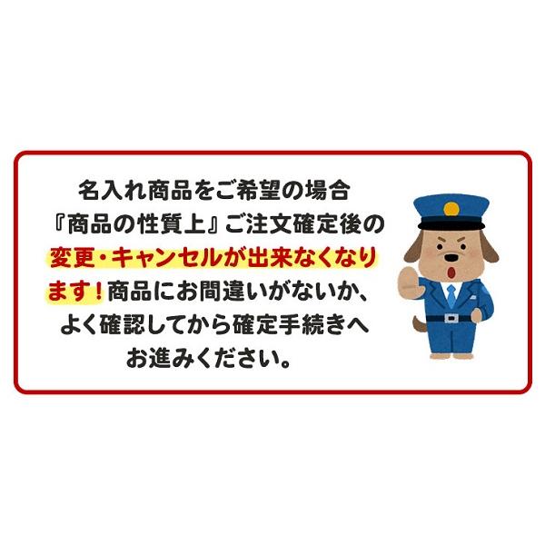 フィラーレ 名入れ ボールペン ゼブラ ノック式 文房具 文具 男性 女性