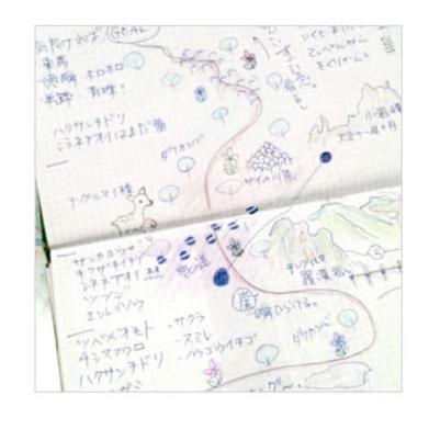 KOKUYO（コクヨ） 測量野帳 スケッチブック 3mm方眼 上質紙40枚 文房具