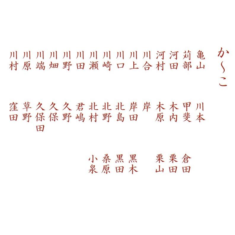 シヤチハタ（Shachihata） 【現品限り】シヤチハタ ネームペン用ネーム
