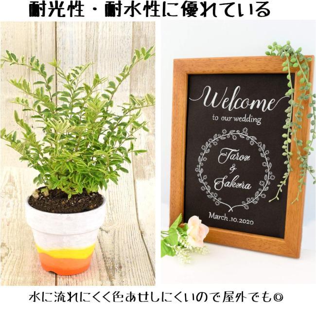 サクラクレパス ピグマックス 細字 8色セット サインペン マーカー