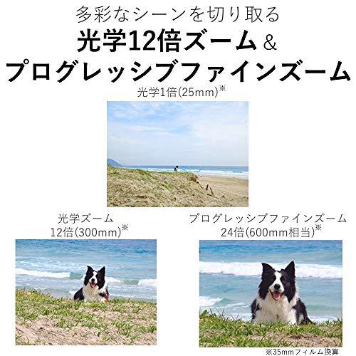 Canon コンパクトデジタルカメラ IXY 650 シルバー 光学12倍ズーム/Wi