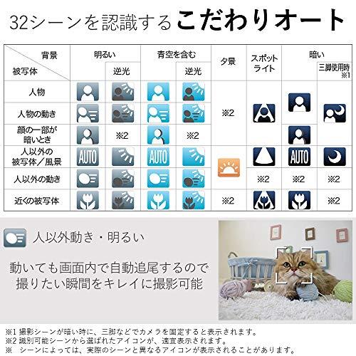 Canon コンパクトデジタルカメラ IXY 650 シルバー 光学12倍ズーム/Wi