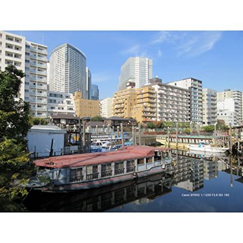 Canon コンパクトデジタルカメラ IXY 650 シルバー 光学12倍ズーム/Wi