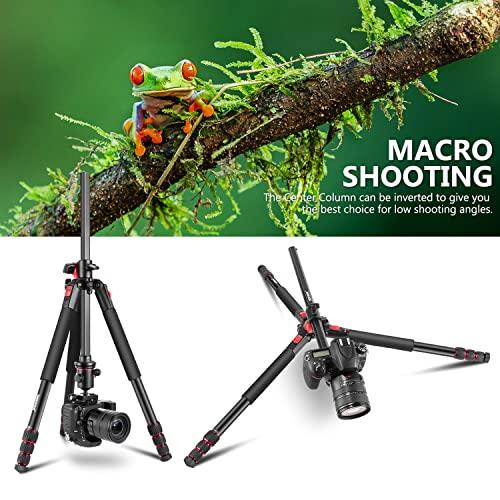 NEEWER 184cmカメラ三脚一脚 センターコラム、ボールヘッド Arca