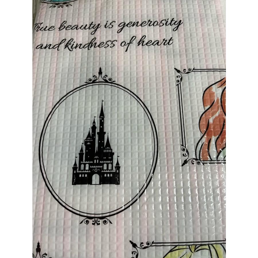 確認画像】ディズニー バケパクッション&レジャーシートセット