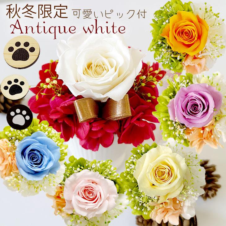 22新作モデル お手頃 プリザーブドフラワー ギフト 女性 ペット 誕生日 結婚記念日 お悔み 退職祝い 仏花 犬 猫 お供え