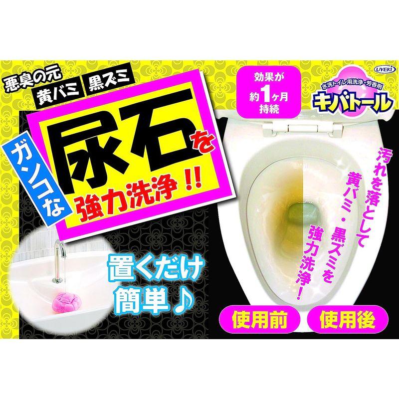 キバトール 尿石除去剤 オンタンク式トイレ用 本体 100g