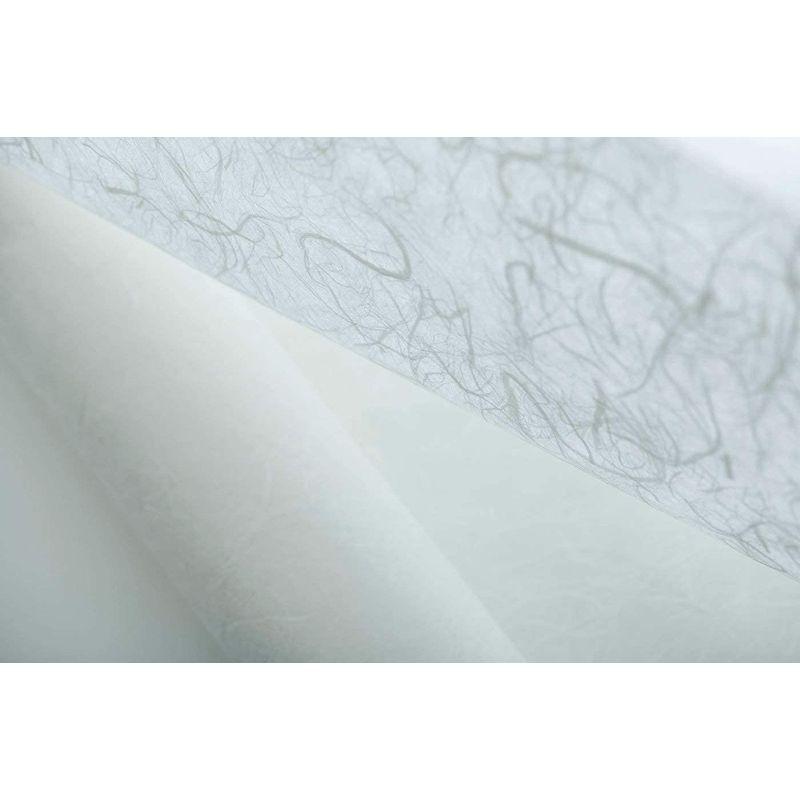 アワガミファクトリー ロール和紙（美術用） (春木紙ロール, 10m) 色和紙