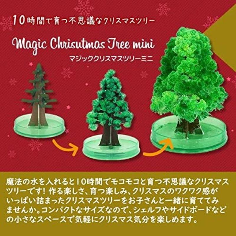 ミニツリー マジックツリー マジッククリスマスツリー 1日で育つ不思議なツリー ラージ (グリーン)｜nijinoshopyellow｜11