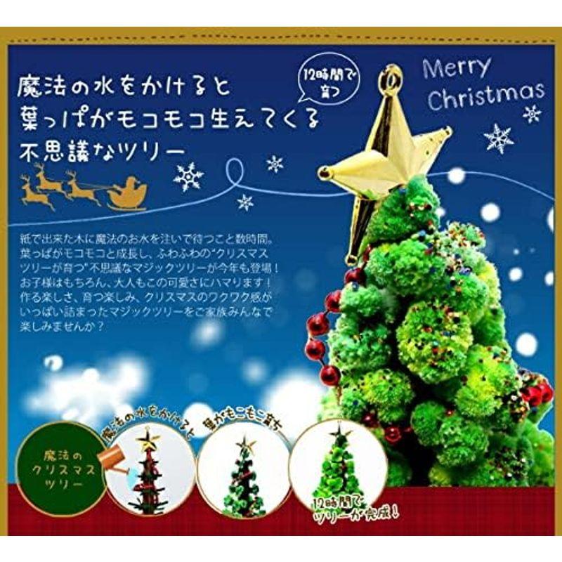 ミニツリー マジックツリー マジッククリスマスツリー 1日で育つ不思議なツリー ラージ (グリーン)｜nijinoshopyellow｜18