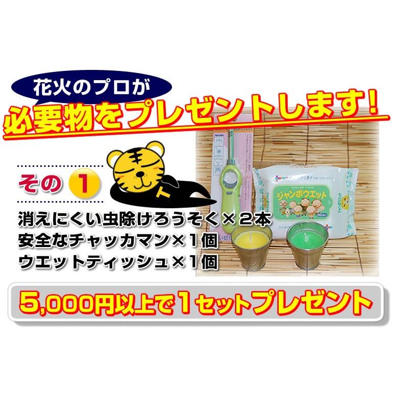 新作 花火の虎厳選噴出花火セット 噴出花火 花火 セット 吹き出し花火 キャンプ 夏祭り はなび お盆 庭 お祭り 御盆 花火大会 アウトドア
