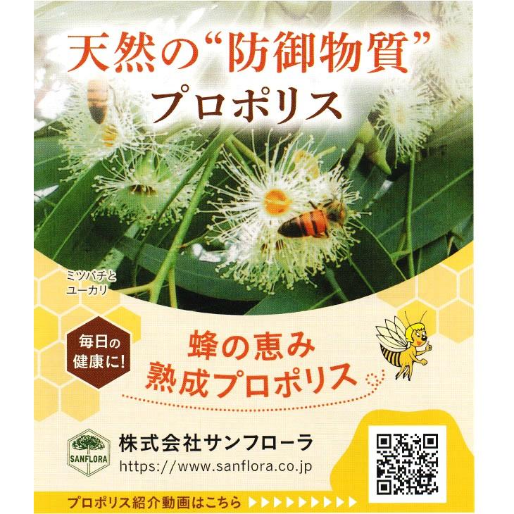 【蜂の恵み】三年熟成プロポリス液15ml |  | 01