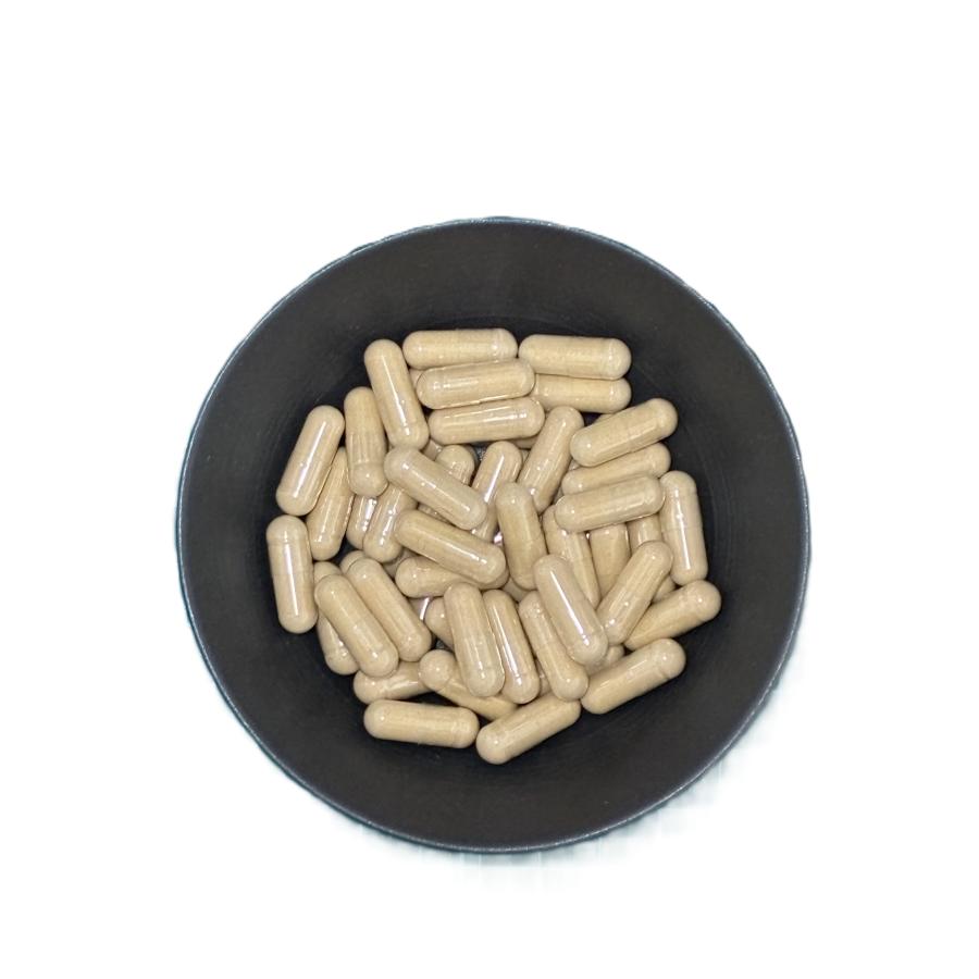 純度100%】すっぽん粉末カプセル 200粒（スッポン サプリ 滋養 活力 朝