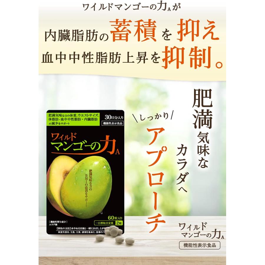 ワイルドマンゴーの力A 60粒入り 30日分 亀山堂 中性脂肪 内臓脂肪 