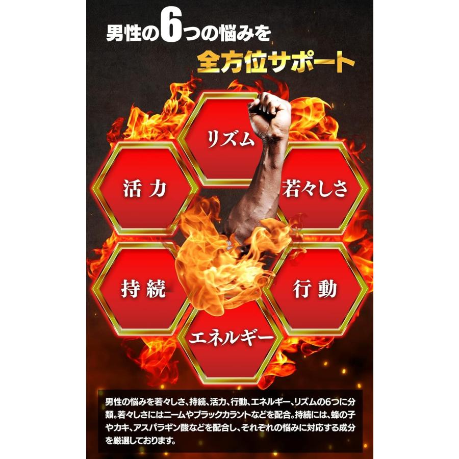百凱王 90粒 ひゃっかいおう サプリ アルギニン 高麗山参 シトルリン