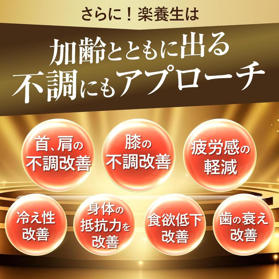 楽養生 30日分 90錠 腰痛 肩こり 疲労回復 肩 首 腰 膝の不調 骨 歯の  