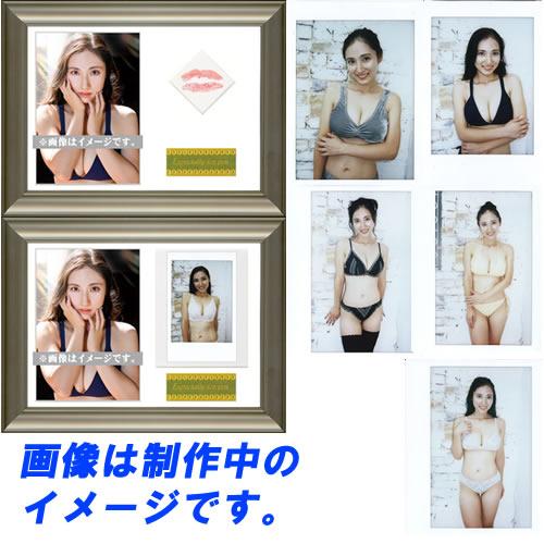 紗綾Vol.10~20th~Anniversary」トレーディングカード BOX□ハーフ 
