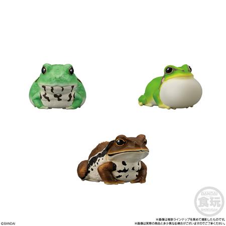 てのりフレンズ12 -爬虫類・両生類- （食玩） BOX 2025年10月20日発売