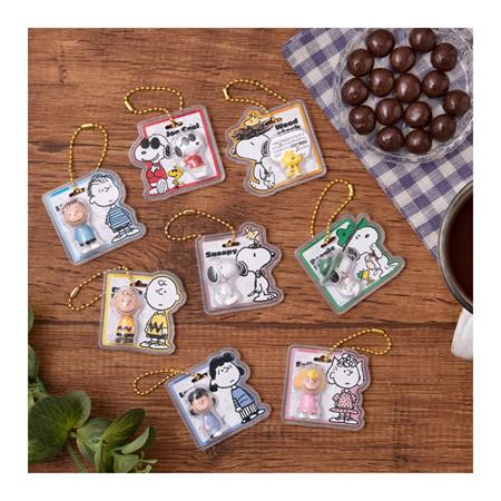 予約）PEANUTS -SNOOPY- パッケージチャーム&チョコボーロ （食玩