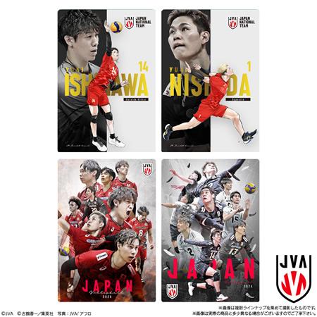 予約）JAPAN NATIONAL VOLLEYBALL TEAM -男子日本代表ver.- ツイン
