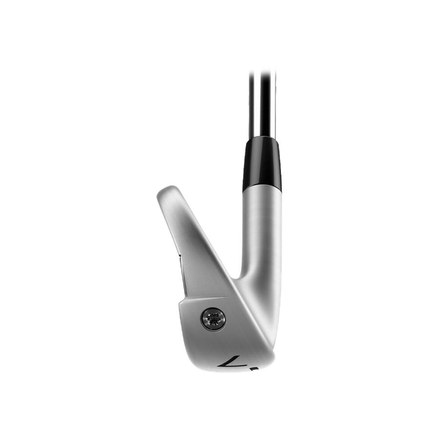 テーラーメイド　P790 5番アイアン TaylorMade（テーラーメイド） P790 アイアン（5本セット） N.S.PRO