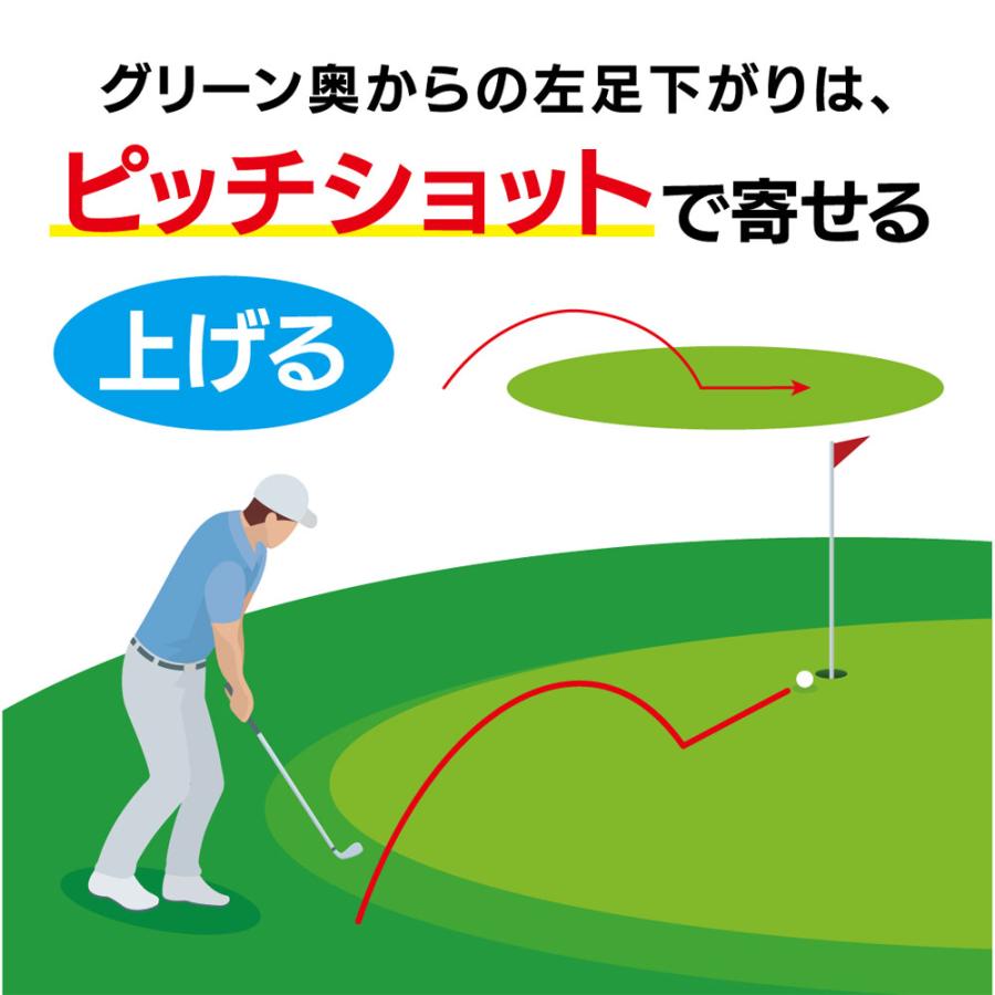 kasco（キャスコ） kasco DOLPHIN FLYING WEDGE DFW-225(55度