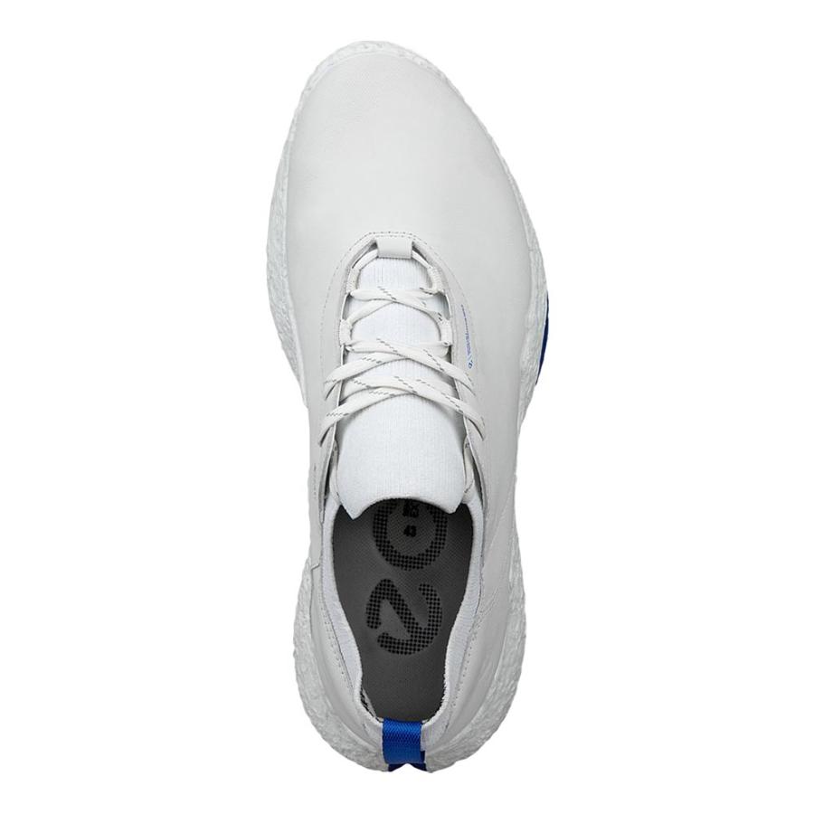 ecco（エコー） BIOM H5 スパイクレスシューズ メンズ 138014（61109