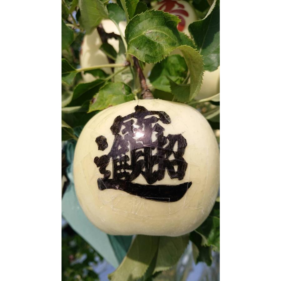 文字りんご 招財進寶 赤地 白文字 1個 青森県 三上農園 年末年始の縁起物 777 泉果通販 通販 Yahoo ショッピング