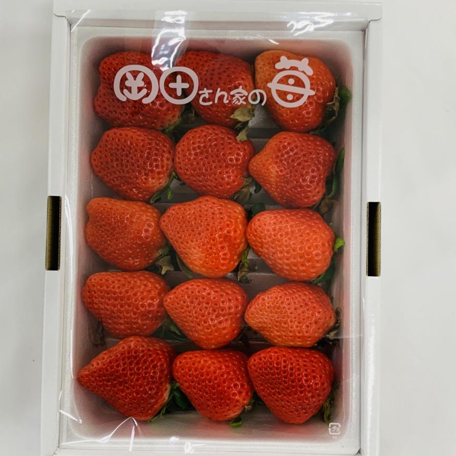 送料無料 岡田さん家のいちご 秀品 500ｇ 約15粒 化粧箱 徳島県産 80 泉果通販 通販 Yahoo ショッピング