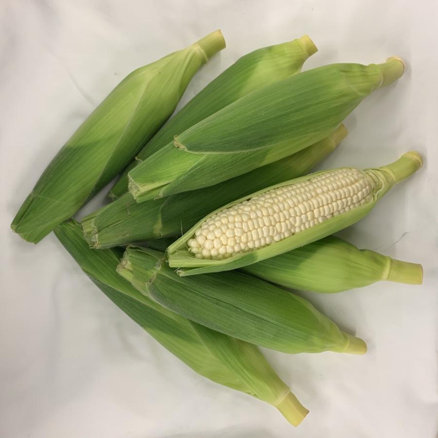 ホワイトコーン 極 Kiwami 特大 8本入 花職人ikeda とうもろこし専門店 和歌山県印南町産 送料無料 Kiwami 03 泉果通販 通販 Yahoo ショッピング
