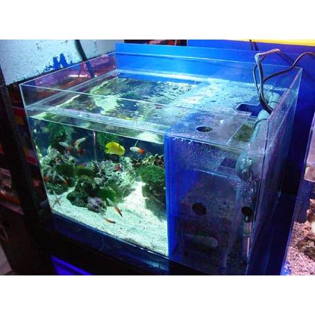 かんたん槽水槽日海センターNK45 中古 海水魚用熱帯魚用