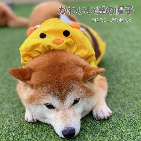 レインコート 大型犬向け 春夏秋冬モデル リード穴あり みつばち なりきり 雨の日 梅雨時期 太る子 大きいサイズ 犬服 ドッグウェア メール便送料無料 Ah58d Nikkashop 通販 Yahoo ショッピング