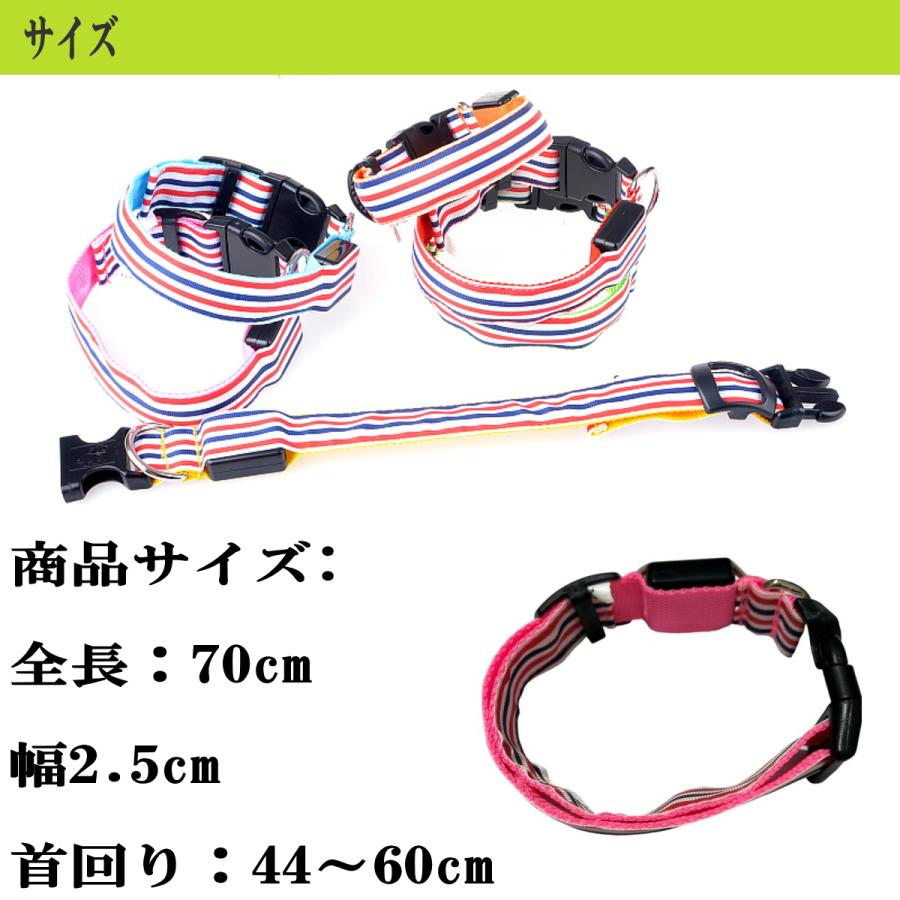 セール 犬 首輪 光る 大型犬 LED首輪 LEDカラー お散歩ライト