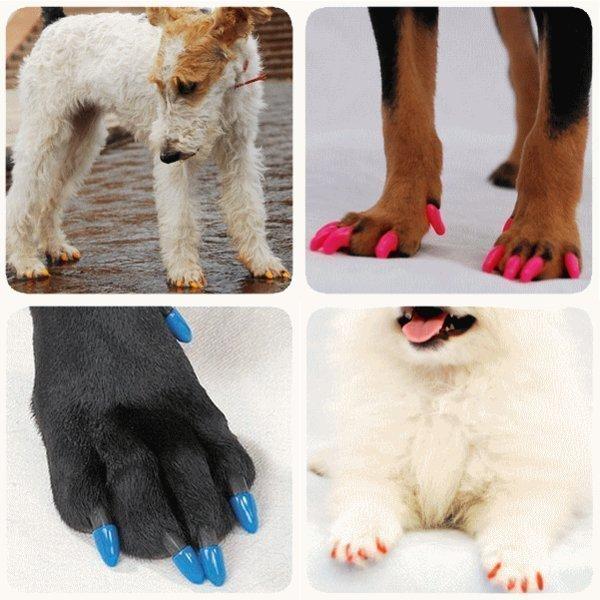 犬用 ソフト ネイル キャップ ネイルカバー 個セット 専用接着剤 小型犬 中型犬 大型犬 メール便送料無料 Mikoo9 Nikkashop 通販 Yahoo ショッピング