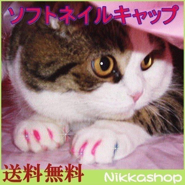 クーポン対象商品 猫用 ソフト 最愛 ネイル ネイルカバー 専用接着剤 20個セット 人気の贈り物が キャップ