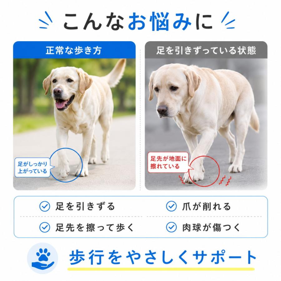 犬 ナックリング サポーター 前足用 足首サポーター スプリング内蔵 足引きずり 足先引き上げ 歩行補助 爪保護 肉球保護 小型犬 中型犬 大型犬 猫対応 XXS-XL