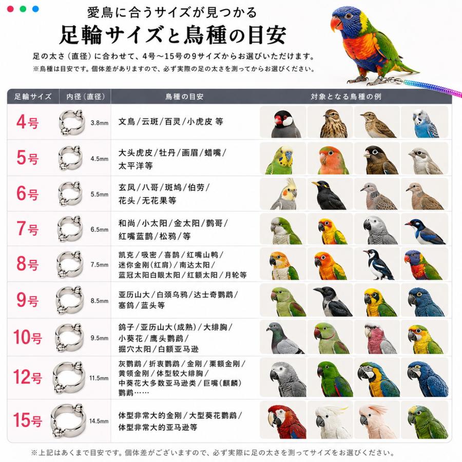 鳥用 足輪 リード インコ 足チェーン 迷子対策 トレーニングロープ 360