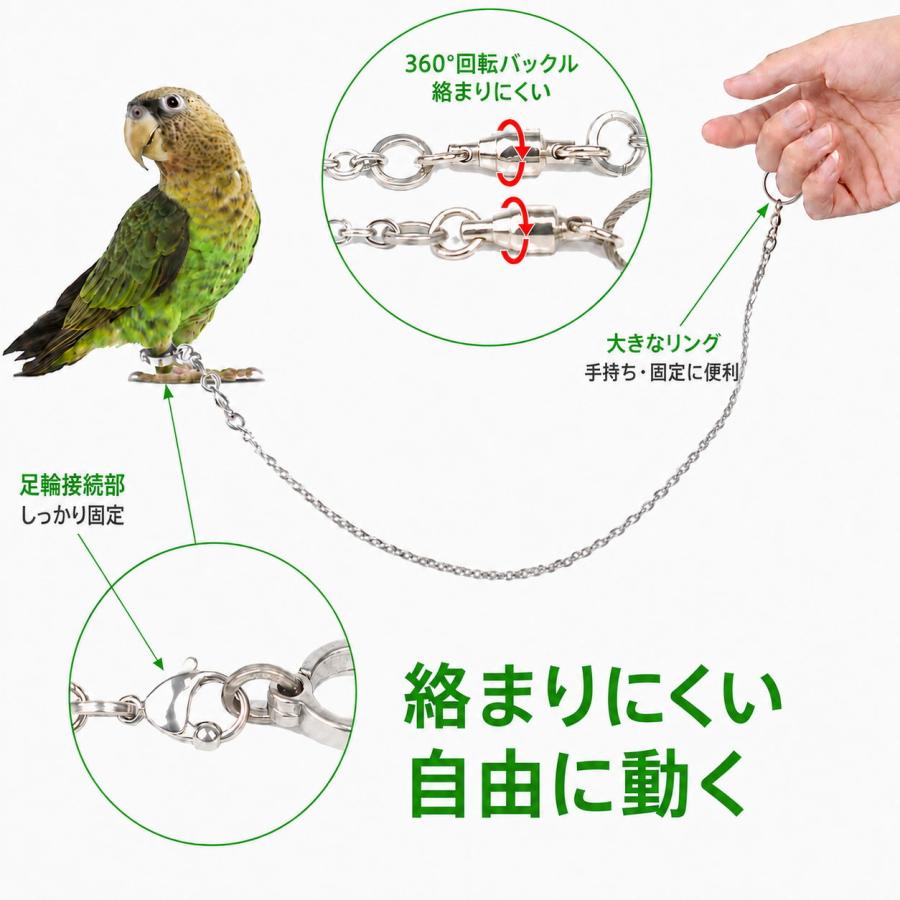 小鳥用 2way リングパーチ 4点 鳥用 足輪 リード インコ 足チェーン 迷子対策 トレーニングロープ 360
