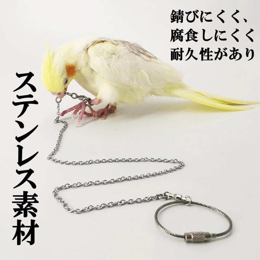 足輪 リード セット インコ用 鳥用 小動物用 足チェーン リーシュ 