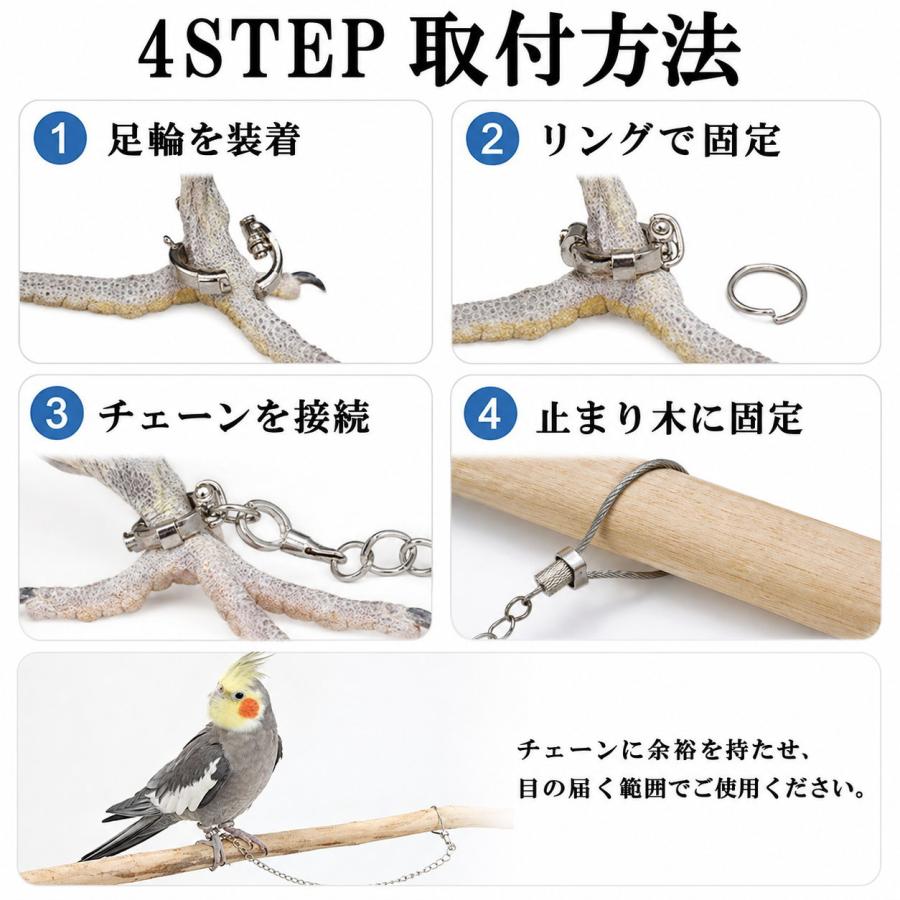 小鳥用 2way リングパーチ 4点 鳥用 足輪 リード インコ 足チェーン 迷子対策 トレーニングロープ 360