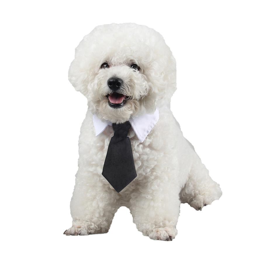 犬 チョーカー リボン ネクタイ パーティーカラー フォーマル