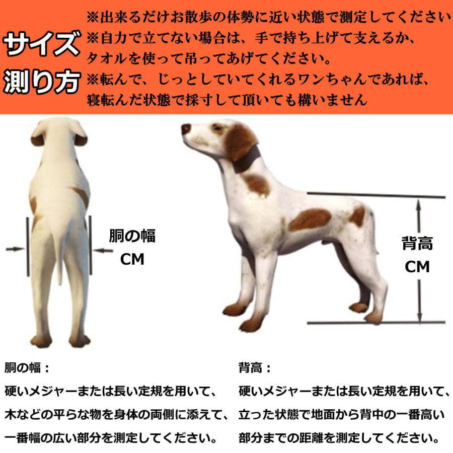 ペット車椅子 小型犬 中型犬 後脚サポート 2輪歩行器 在宅ケア リハビリ用 歩行補助 軽量  調節可能 ヘルニア けが XS広幅サイズ 宅配便送料無料｜nikkashop｜11