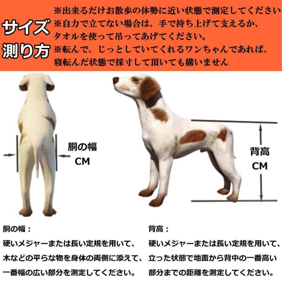 ペット用車椅子 4輪 大型犬 全身サポート 歩行器 4輪 歩行補助 車いす 車椅子 ペット車椅子 リハビリ用 軽量 調節可能 ヘルニア けが XLサイズ｜nikkashop｜11