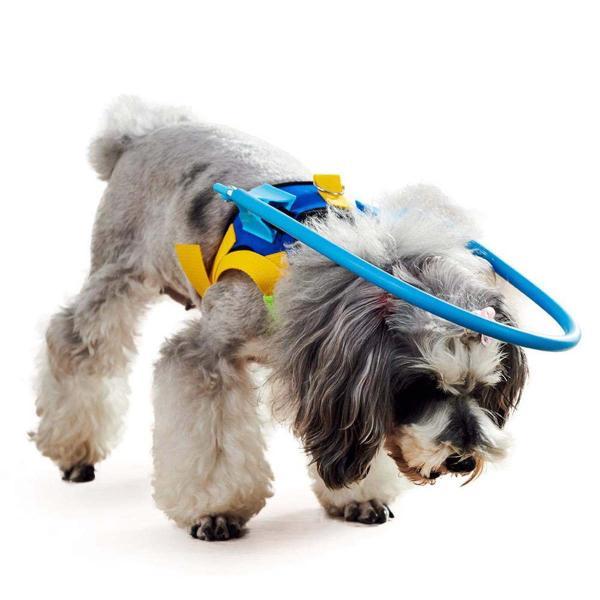 ペット用盲目リング フェイスガード セーフリング 盲犬杖 衝突防止 XXS