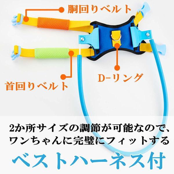 ペット用盲目リング フェイスガード セーフリング 盲犬杖 衝突防止 XXS