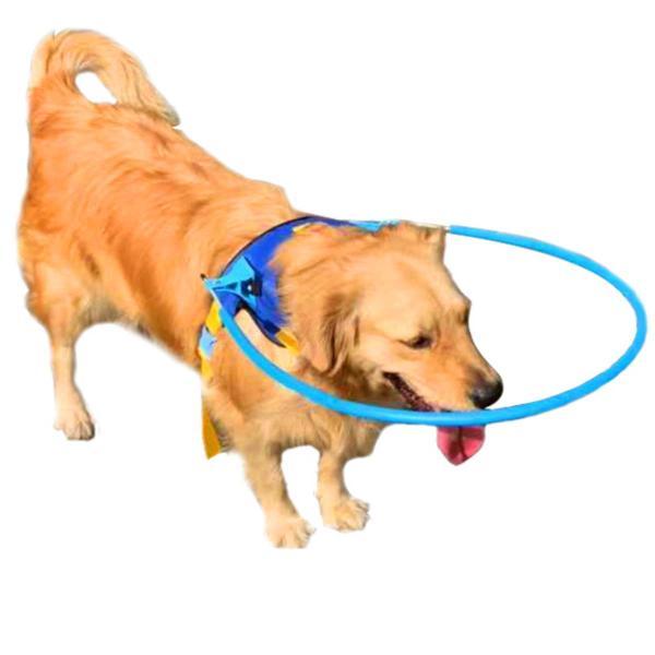 ペット用盲目リング フェイスガード セーフリング 盲犬杖 衝突防止 XXS
