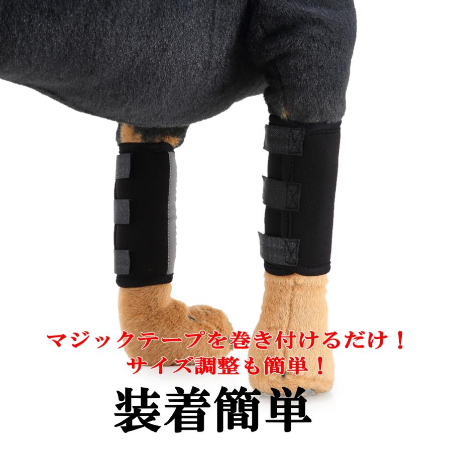 犬 サポーター 前足後足左右兼用 2枚入 小型犬 中型犬 大型犬 関節